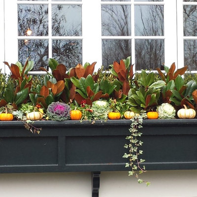 Inspiration for a large traditional full sun front yard formal garden in New York for fall.