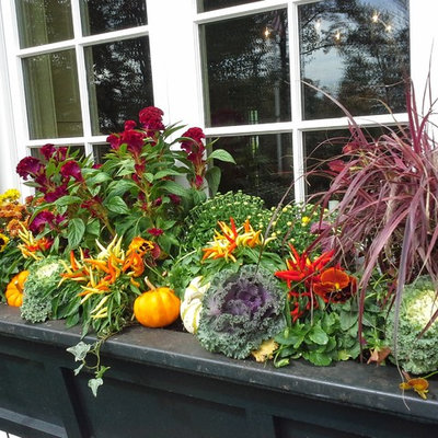 Design ideas for a large traditional full sun front yard formal garden in New York for fall.