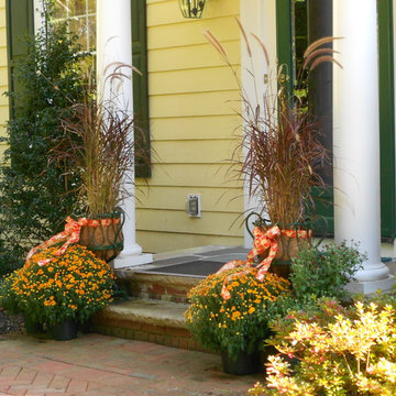 Container Plantings