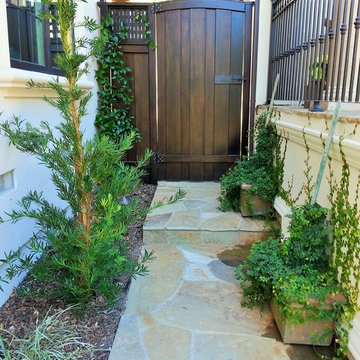 Container Plants, walkway and gate