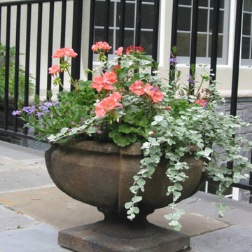 Container Pot Gardens