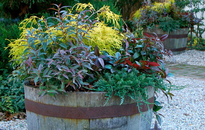 7 Ways to Get Your Container Garden Ready for Winter