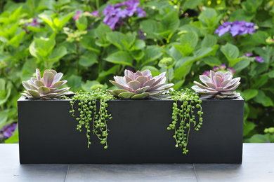 Containers + Planters