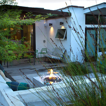 Contemporary Architecture and Landscape-  Back Yard