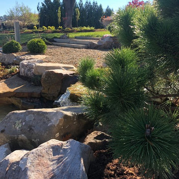 Contemporary Asian Fusion Garden
