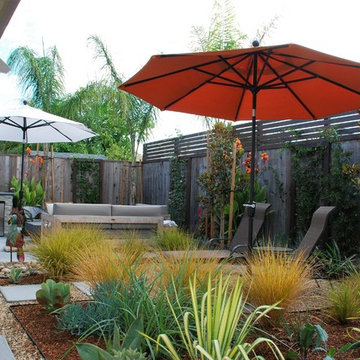 Contemporary backyard oasis