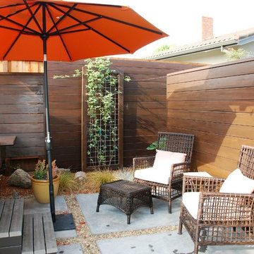 Contemporary backyard oasis