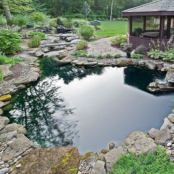 contemporary backyard with pool