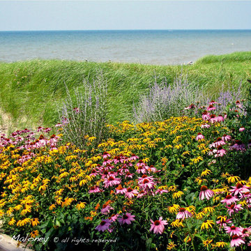 Contemporary Beach Front Garden