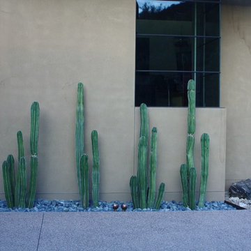 Contemporary Cactus Garden