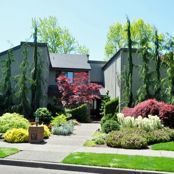 Contemporary Courtyard
