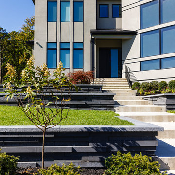 Contemporary Curb Appeal