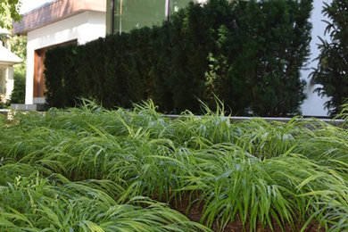 トロントにある高級な広いコンテンポラリースタイルのおしゃれな前庭 (日陰) の写真