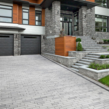 Contemporary Driveway