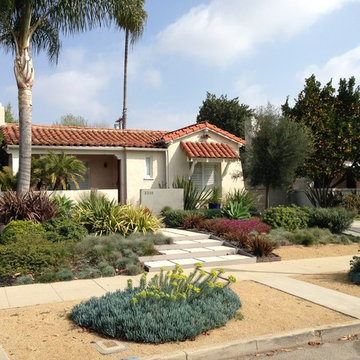 Contemporary Drought Tolerant Entry and Front Yard