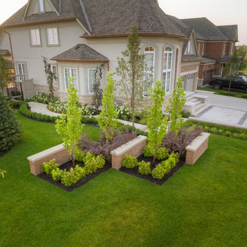 Contemporary Elegance