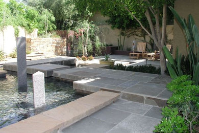 Photo of a contemporary landscaping in Phoenix.