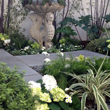 Contemporary garden