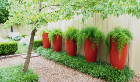 Try This Shortcut to Garden Color Where You Need It