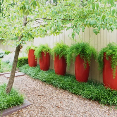 This is an example of a contemporary backyard gravel landscaping in Little Rock.
