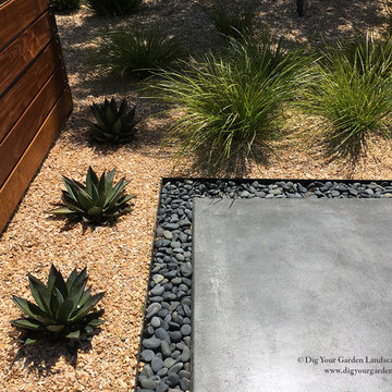 Contemporary Landscape - Dramatic Transformation - San Rafael, CA