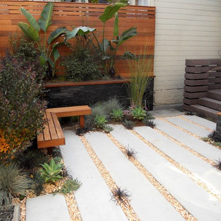 Immagine di un piccolo giardino xeriscape minimal dietro casa con pavimentazioni in cemento