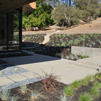 Inspiration for a contemporary retaining wall landscape in San Francisco.