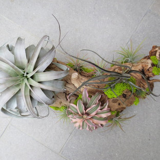 Photo of a contemporary landscaping in Los Angeles.