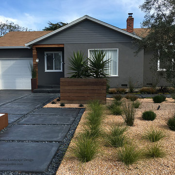Contemporary Landscape Transformation - San Rafael, CA