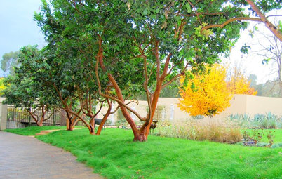 Garden Myths to Debunk as You Dig This Fall and Rest Over Winter