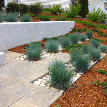 Contemporary planting with blue fescue grasses