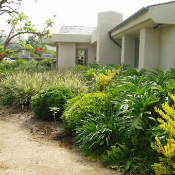 Contemporary Rancho Santa Fe Landscape - Xeriscape