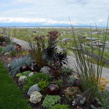 Contemporary Seaside Garden