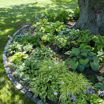 Contemporary Shade Garden - Mequon