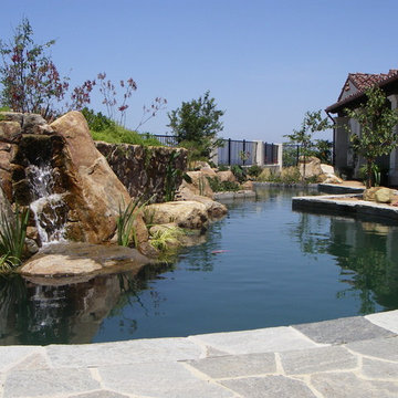Contemporary style koi pond