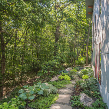 Contemporary Woodland