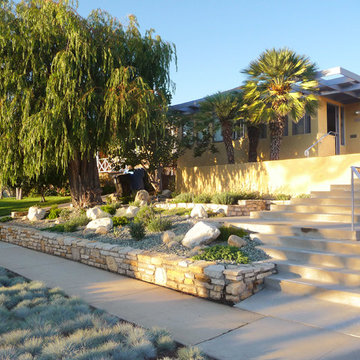 Contemporary Zen