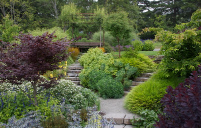 Райские кущи: Золотые правила рассадки кустарников в вашем саду