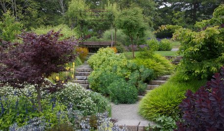 Райские кущи: Золотые правила рассадки кустарников в вашем саду