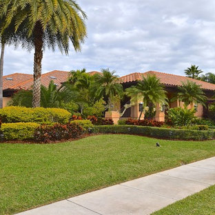 Esempio di un grande vialetto d'ingresso tropicale esposto in pieno sole davanti casa in estate con un ingresso o sentiero e pavimentazioni in cemento