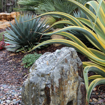 Cored Basalt Fountain Wrapped In Agave 'Stained Glass'