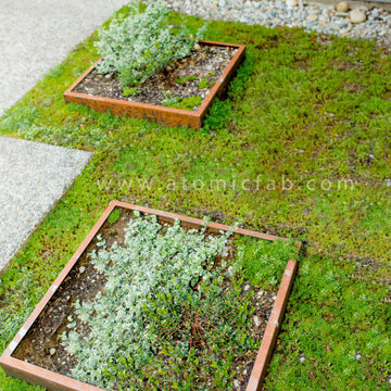 Corten low profile planters for succulents