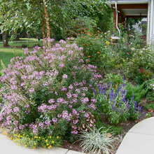 Front walkway landscapes