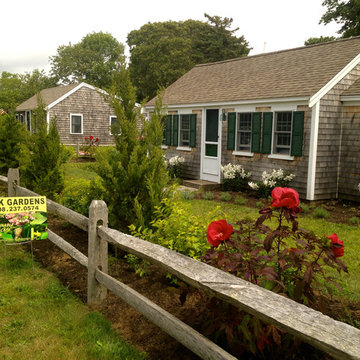 Cottage style mixed native plant border and foundation in Chatham, Massachusetts