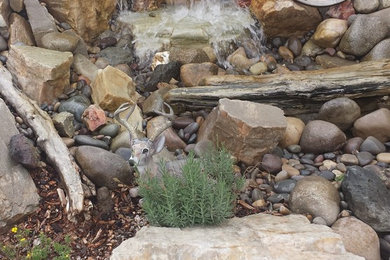Inspiration for a rustic drought-tolerant and full sun backyard landscaping in Other.