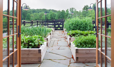 Raised Beds for Every Garden Style
