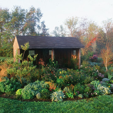 County Shed Garden