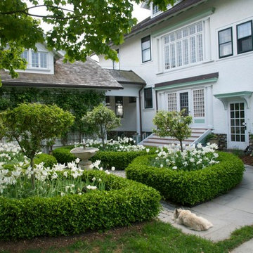 Courtyard Garden