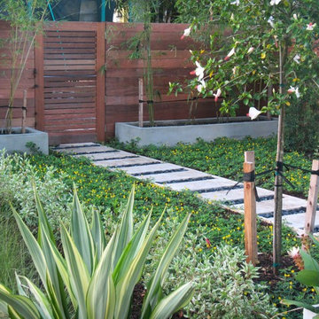 Courtyard garden South Florida