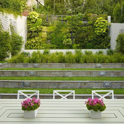 Design ideas for a contemporary landscaping in San Francisco.